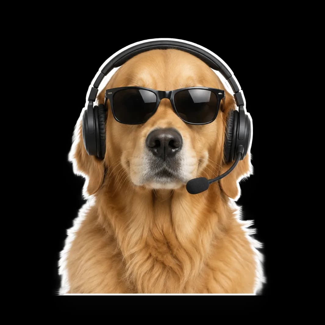 Humphrey in shades