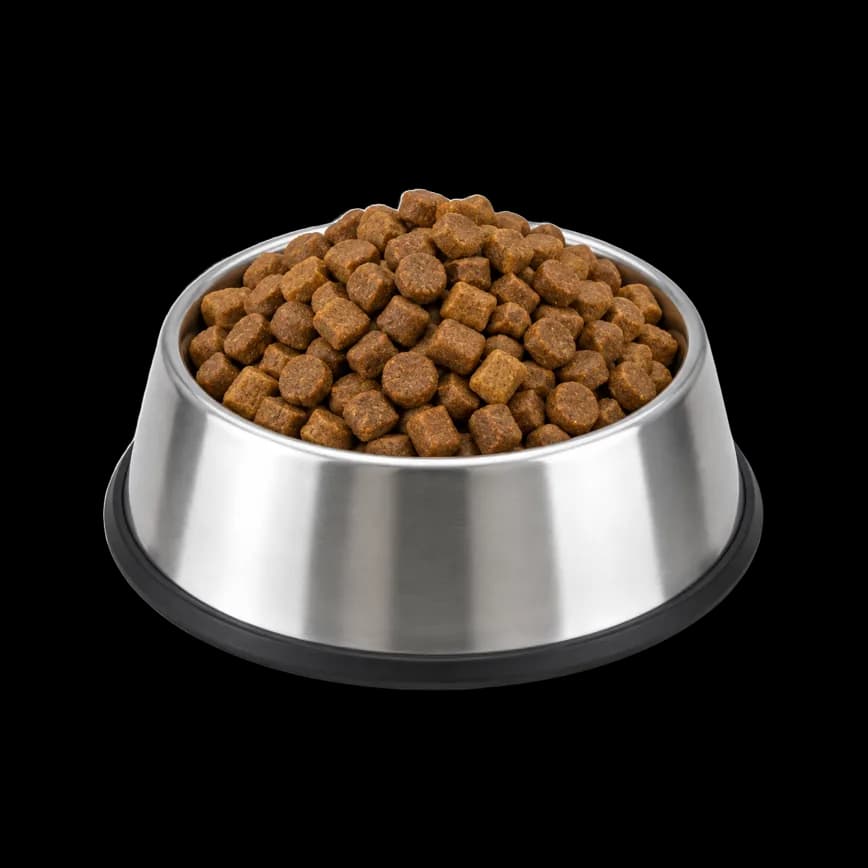 A dog bowl full of kibble