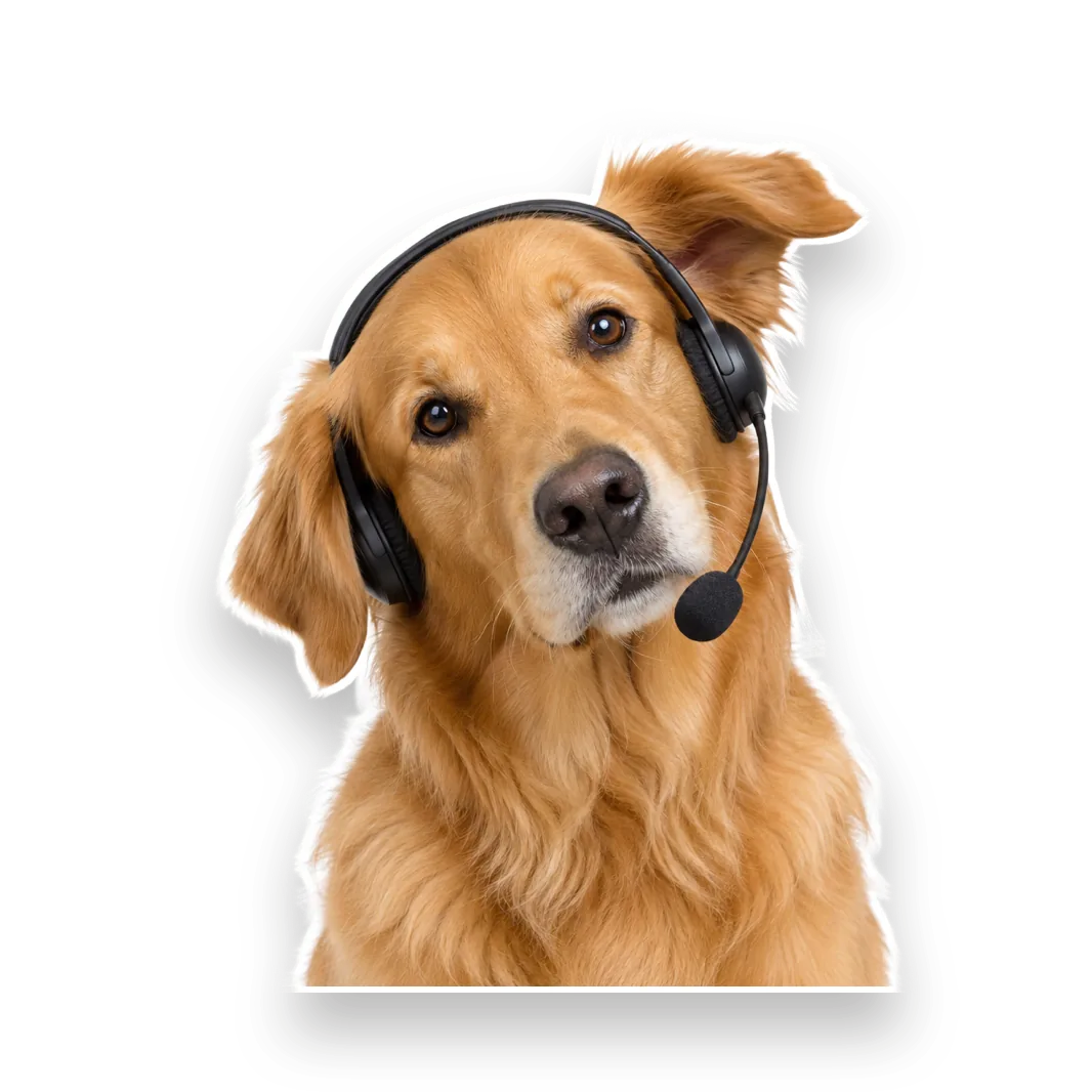 Humphrey tilting his head, listening