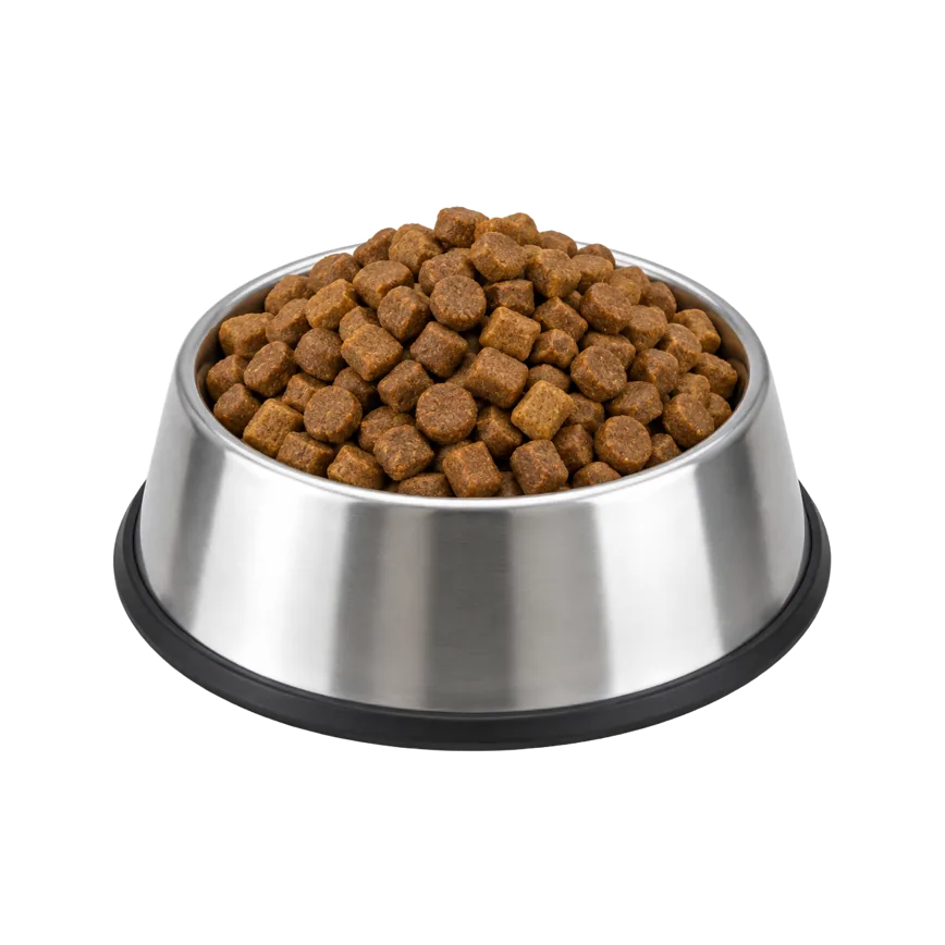 A dog bowl full of kibble