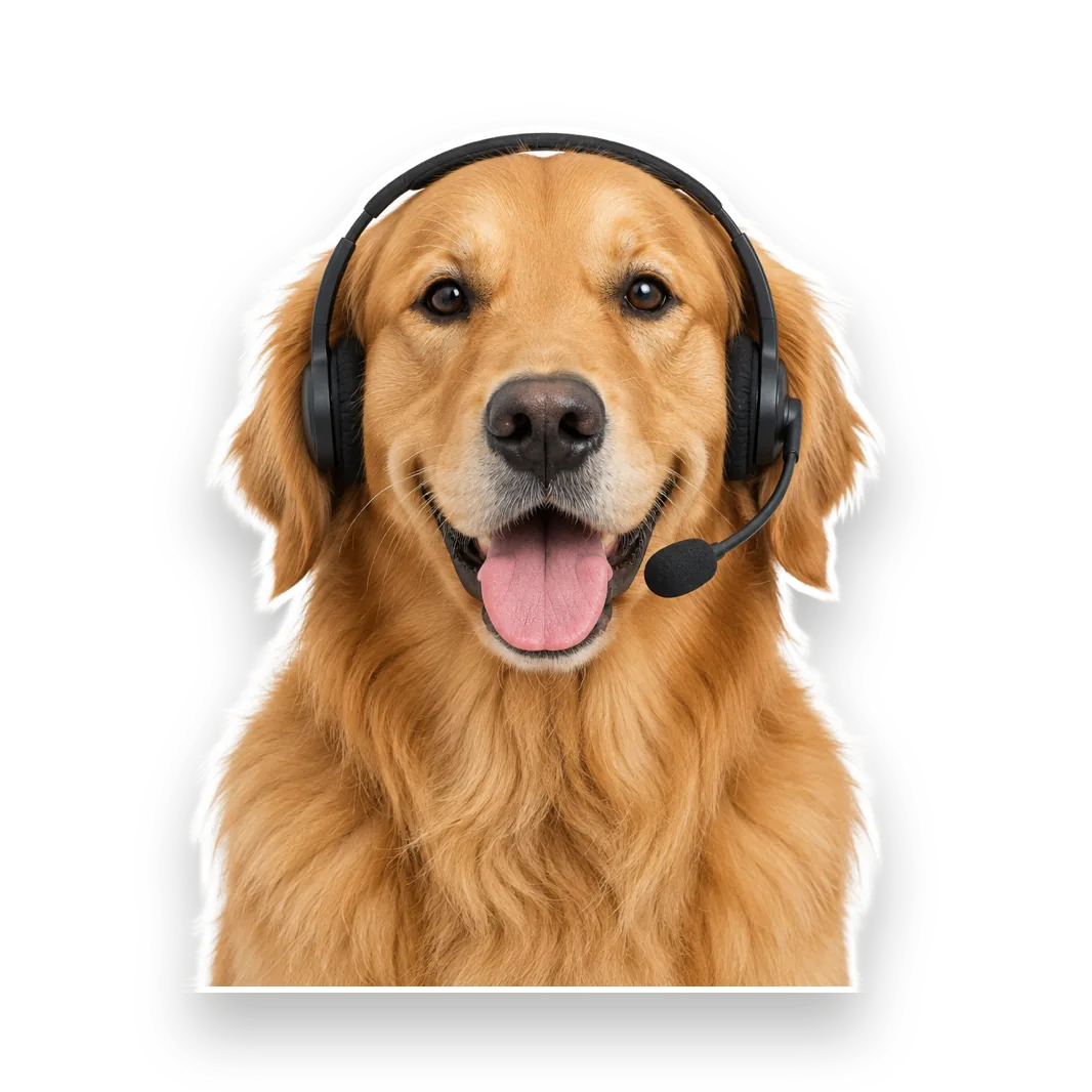 Humphrey the golden retriever in a headset
