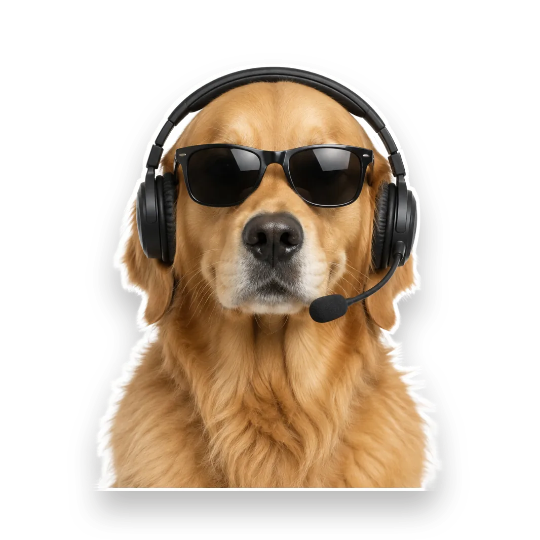 Humphrey the golden retriever in sunglasses and a headset